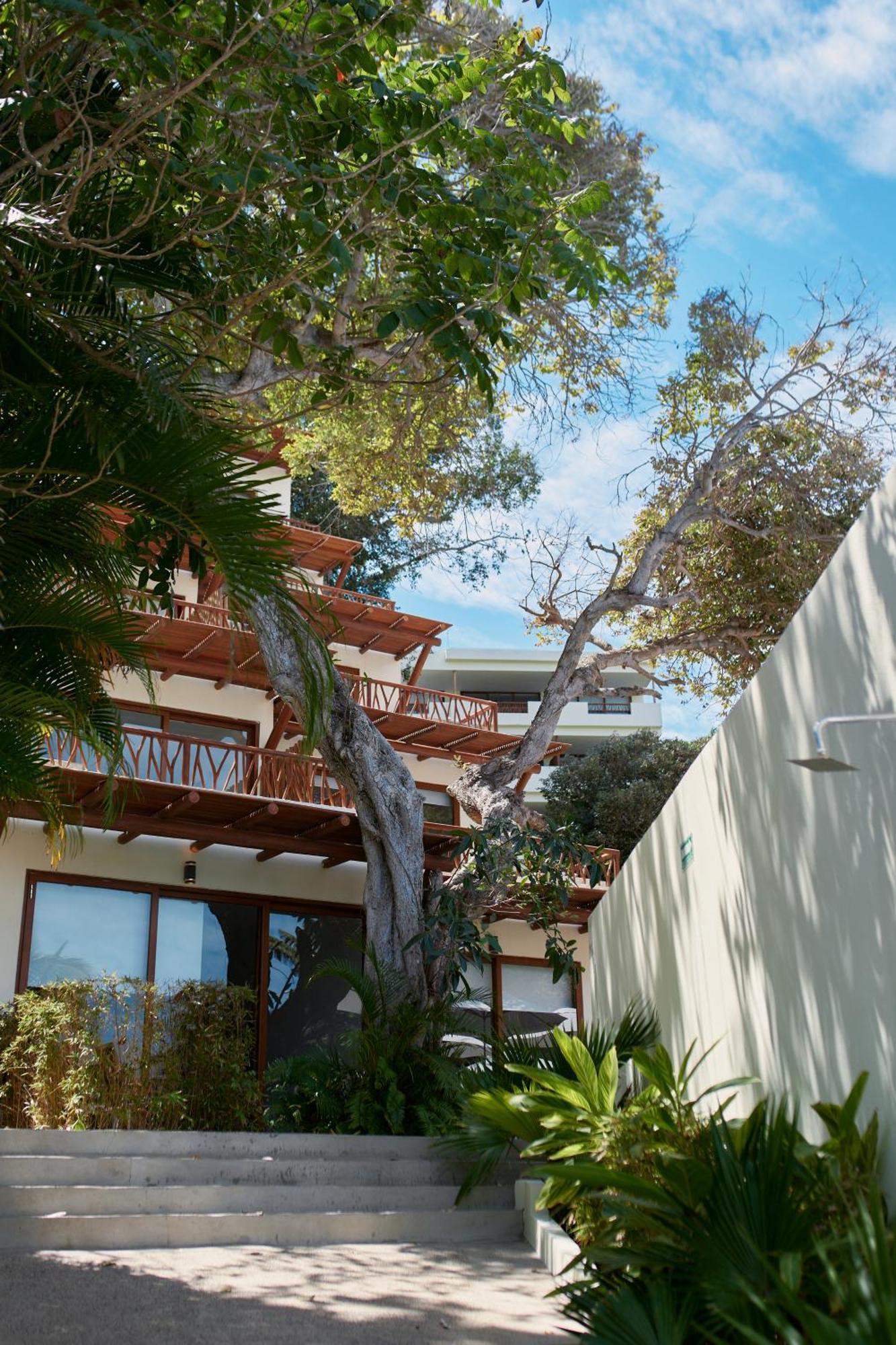 Ysuri Sayulita - Beachfront Hotel エクステリア 写真